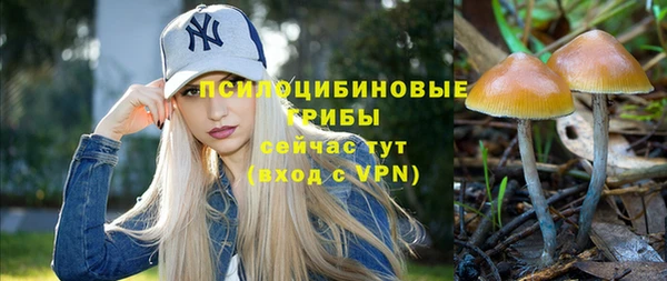 а пвп мука Абаза