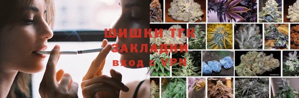 МДПВ Медвежьегорск