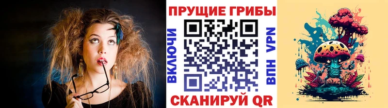 где найти наркотики  kraken tor  Галлюциногенные грибы MAGIC MUSHROOMS  Щёкино 